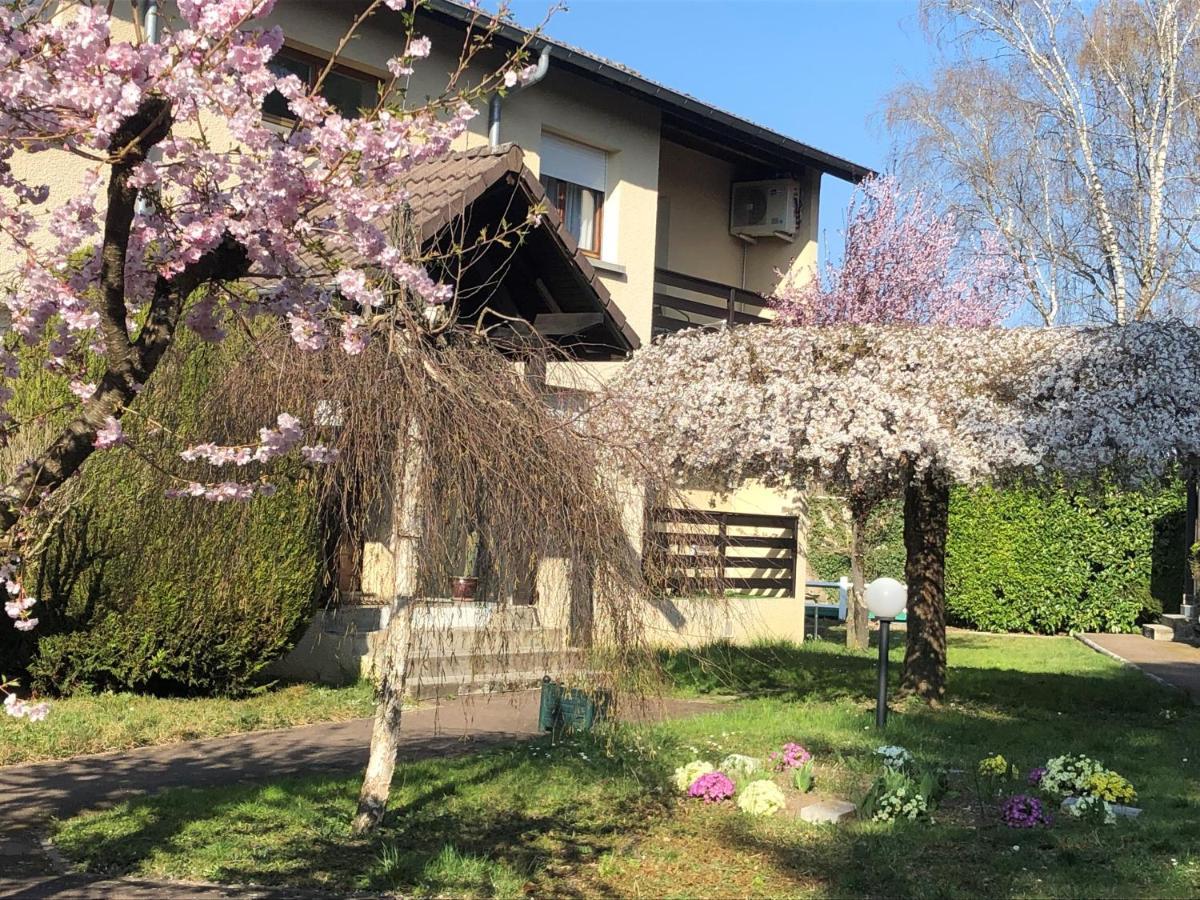 Les Tilleuls Montbeliard Sud Audincourt ภายนอก รูปภาพ